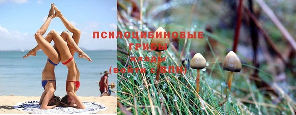 каннабис Алексин